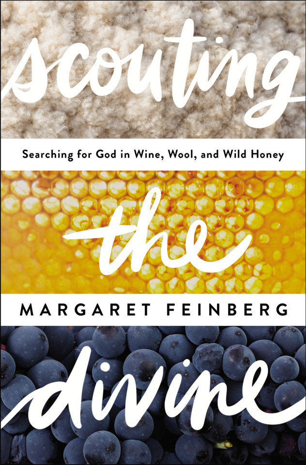 Scouting the Divine: Searching for God in Wine, Wool, and Wild Honey book cover by Margaret Feinberg