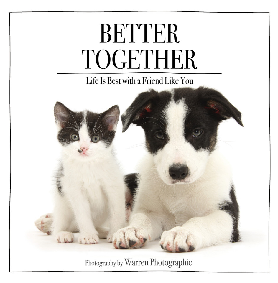 Better Together: Life Is Best with a Friend Like You (The Perfect Inspirational Gift for Animal Lovers) book cover by Zondervan
