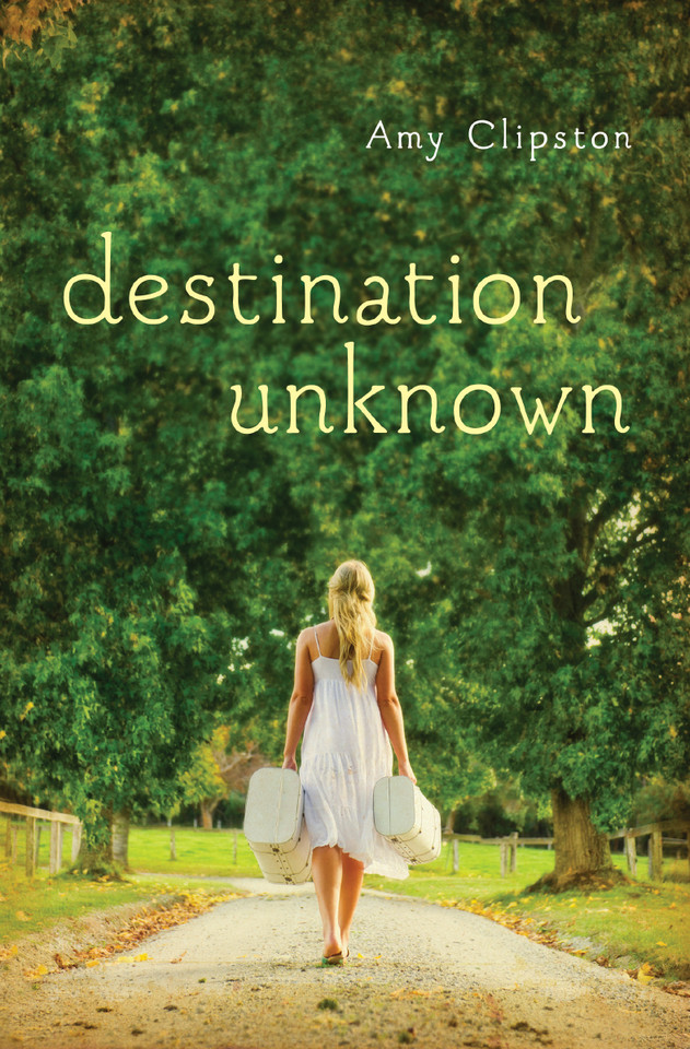 Destination Unknown book cover by Amy Clipston