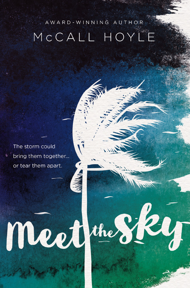 Meet the Sky book cover by McCall Hoyle