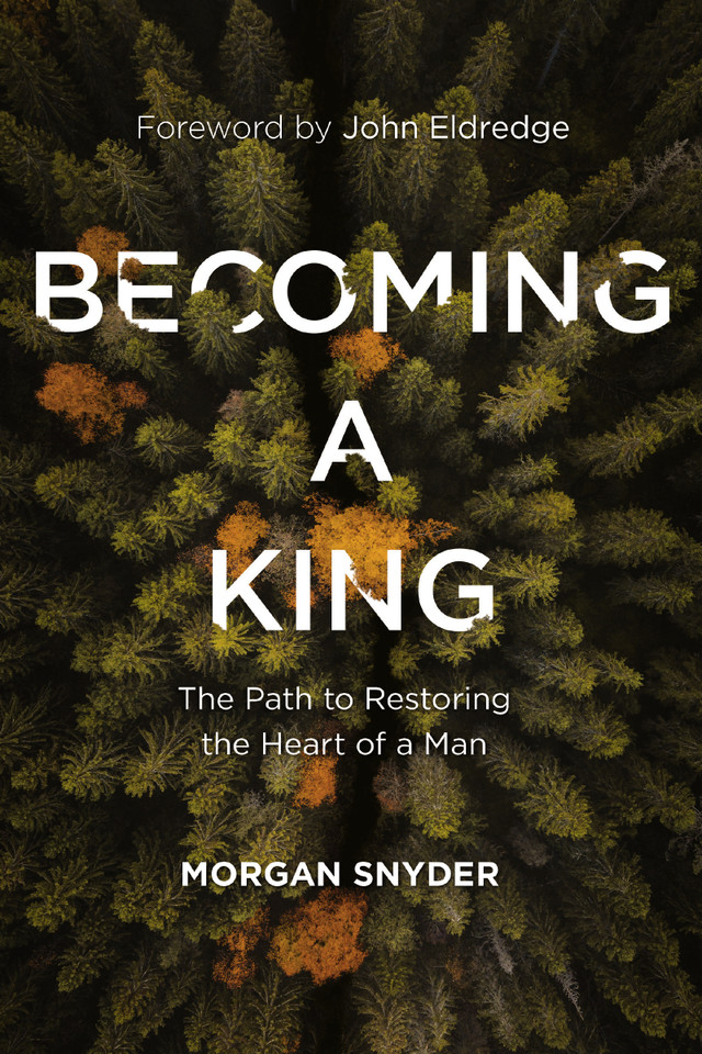 Becoming a King: The Path to Restoring the Heart of a Man book cover by Morgan Snyder