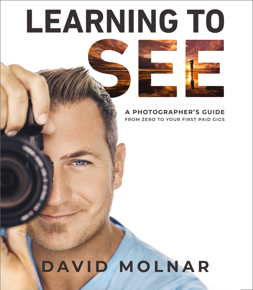 Learning to See: A Photographer’s Guide from Zero to Your First Paid Gigs book cover by David Molnar