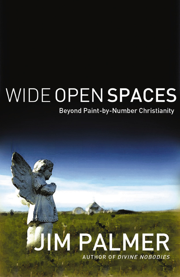 Wide Open Spaces: Beyond Paint-by-Number Christianity book cover by Jim Palmer