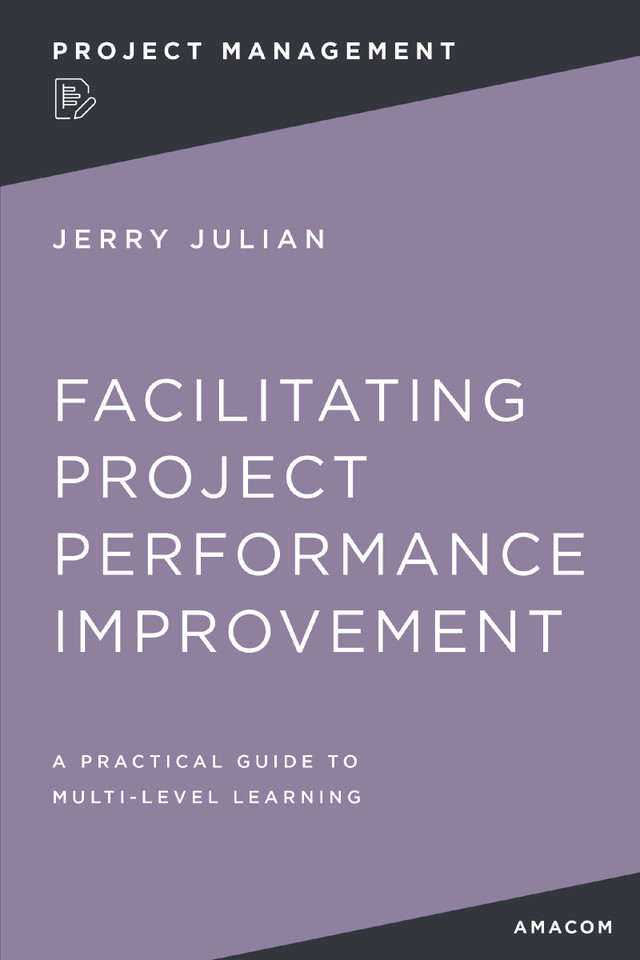 Facilitating Project Performance Improvement: A Practical Guide to Multi-Level Learning book cover by Jerry JULIAN