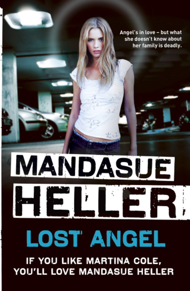 Lost Angel book cover by Mandasue Heller