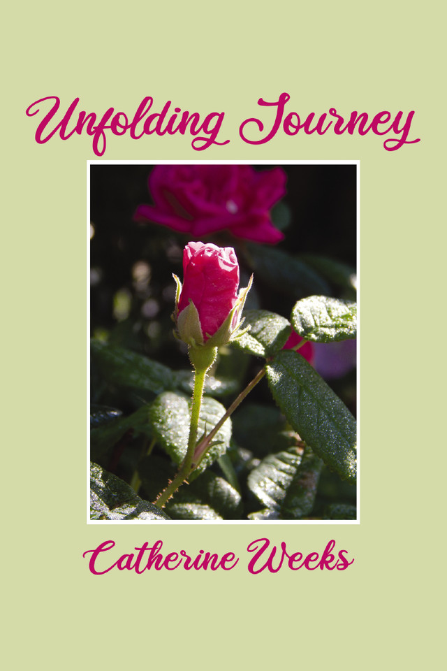 Unfolding Journey book cover by Catherine Weeks