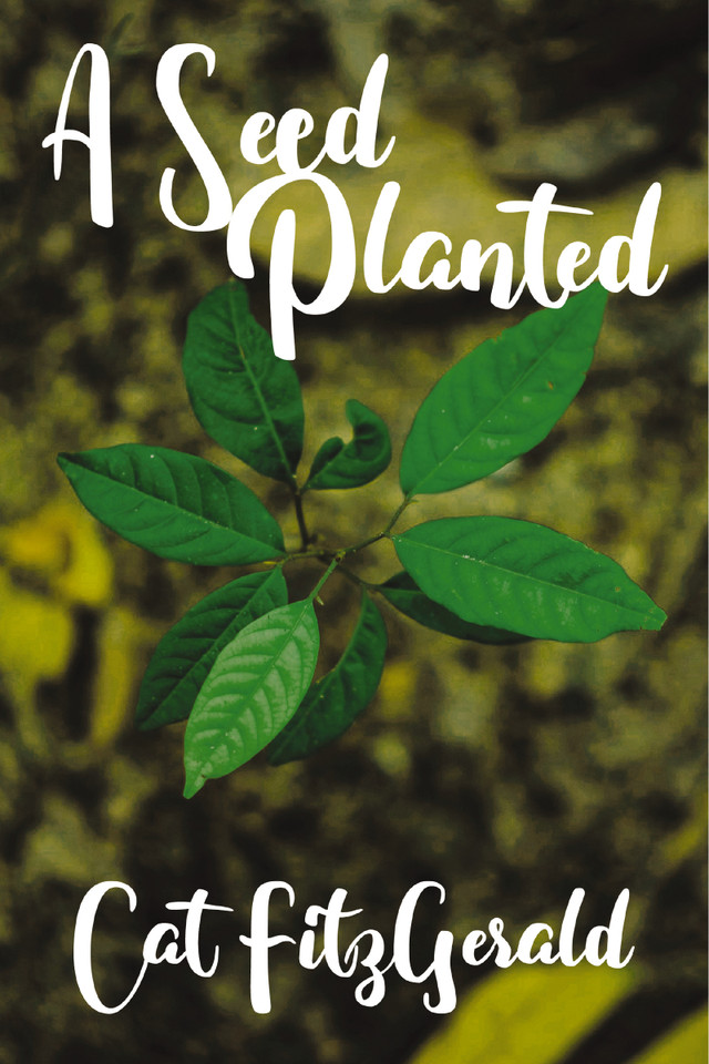 A Seed Planted book cover by Cat FitzGerald