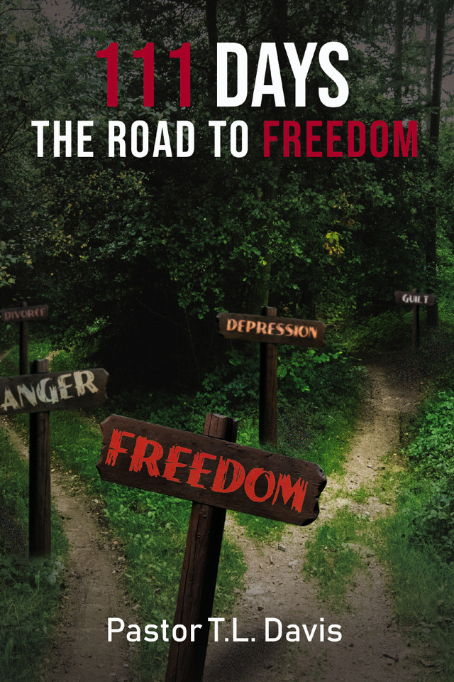 111 Days: The Road to Freedom book cover by T.L. Davis