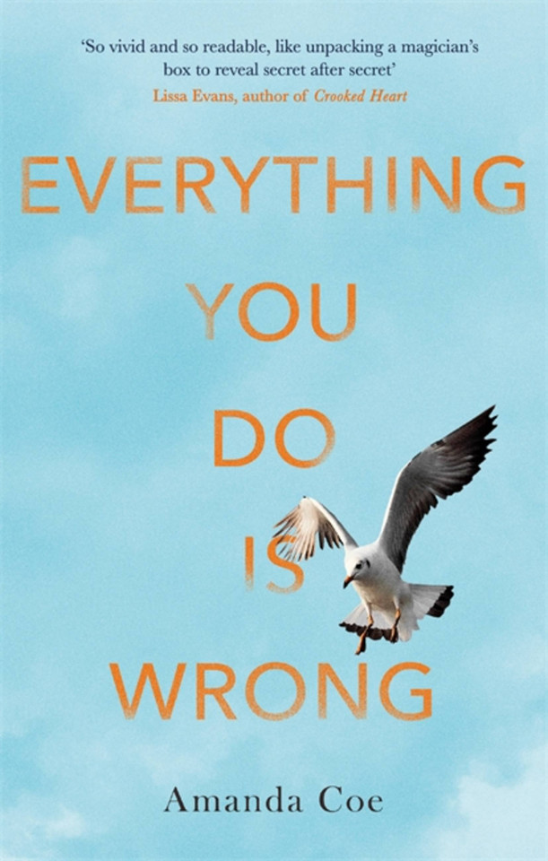 Everything You Do Is Wrong book cover by Amanda Coe
