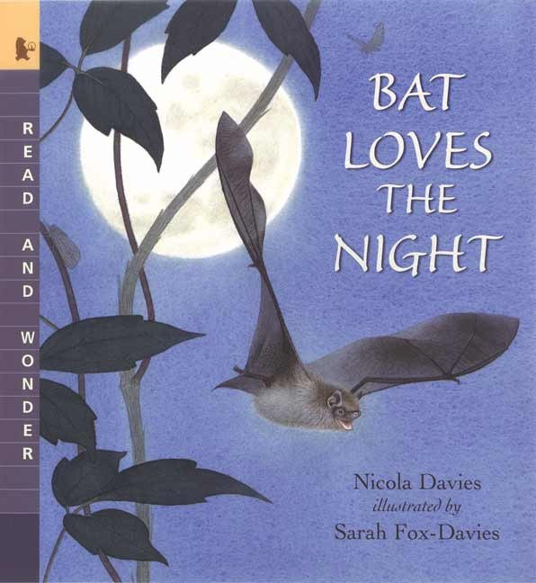 Bat Loves the Night: Read and Wonder (Read and Wonder) book cover by Nicola Davies