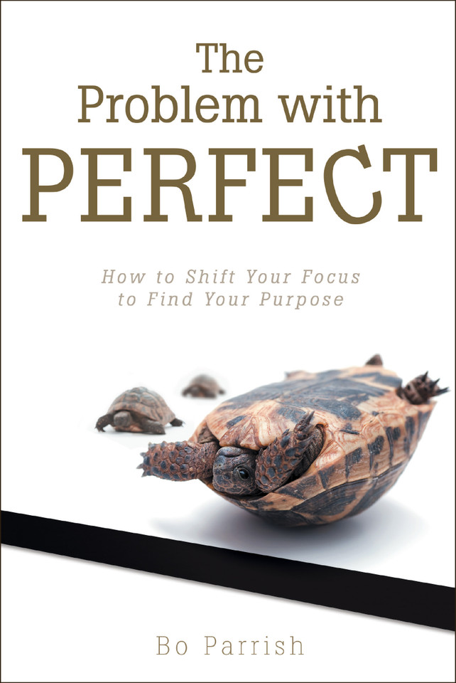 The Problem with Perfect book cover by Bo Parrish