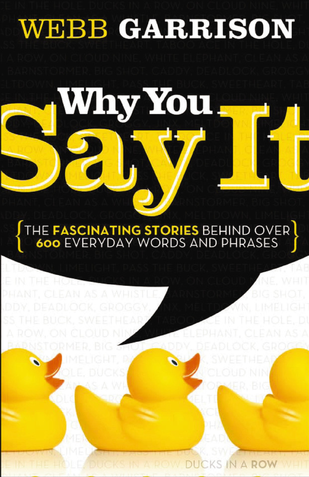 Why You Say It: The Fascinating Stories Behind over 600 Everyday Words and Phrases book cover by Webb Garrison