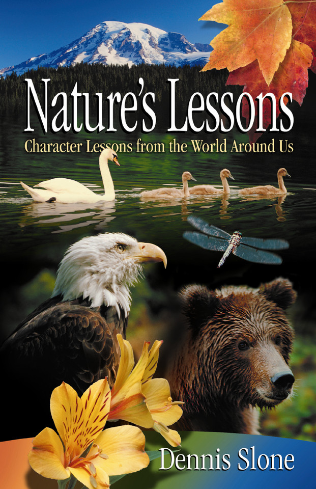 Nature's Lessons: Character Lessons from the World Around Us book cover by Dennis Slone