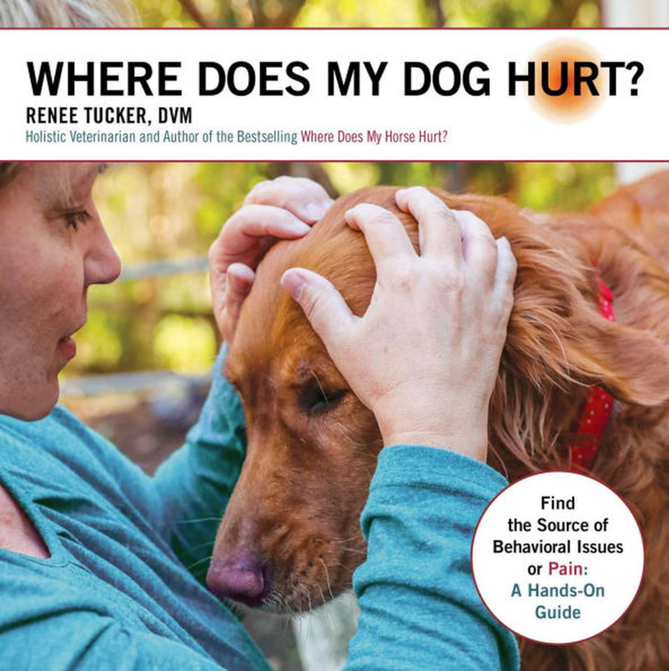 Where Does My Dog Hurt: Find the Source of Behavioral Issues or Pain: A Hands-On Guide book cover by Renee Tucker
