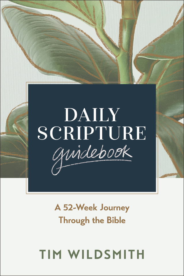 Daily Scripture Guidebook: A 52-Week Journey Through the Bible book cover by Tim Wildsmith
