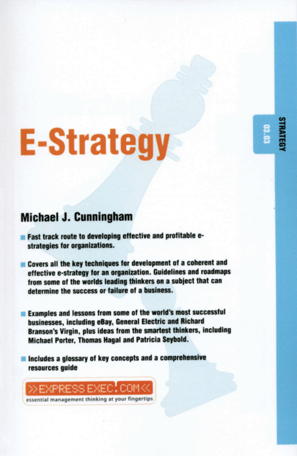 E-Strategy: Strategy 03.03 (Express Exec) book cover by Michael J. Cunningham