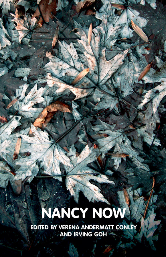 Nancy Now (Theory Now) book cover by 