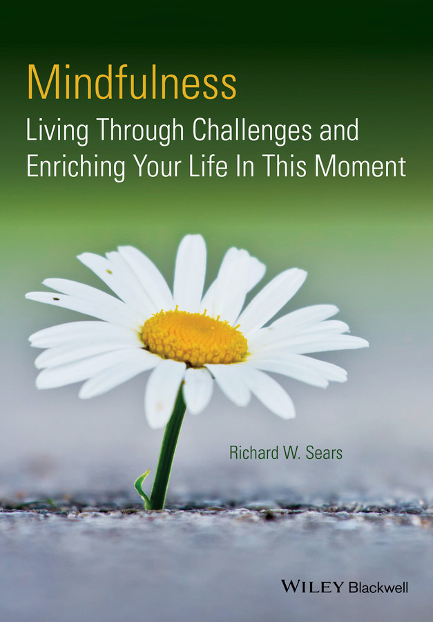 Mindfulness: Living Through Challenges and Enriching Your Life In This Moment book cover by Richard W. Sears