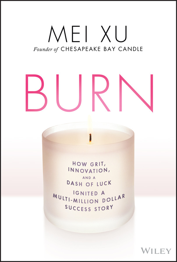 Burn: How Grit, Innovation, and a Dash of Luck Ignited a Multi-Million Dollar Success Story book cover by Mei Xu