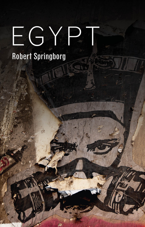 Egypt (Hot Spots in Global Politics) book cover by Robert Springborg