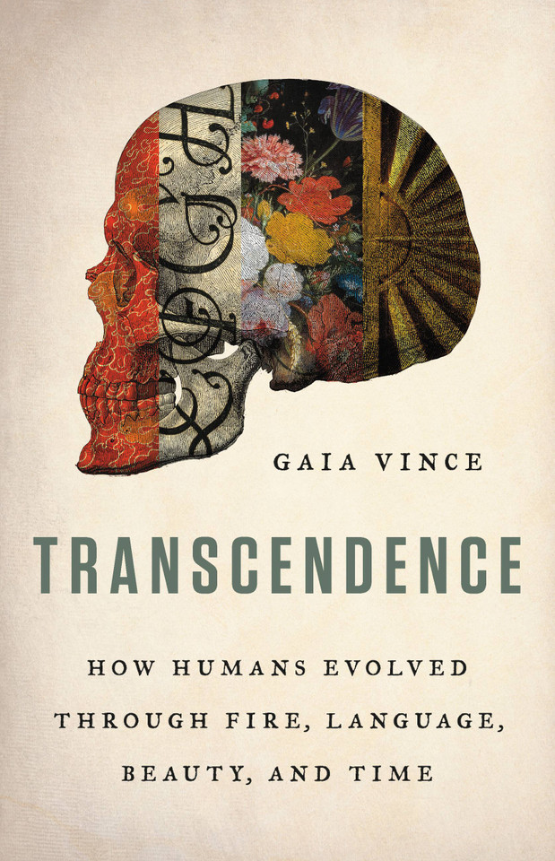 Transcendence: How Humans Evolved through Fire, Language, Beauty, and Time book cover by Gaia Vince