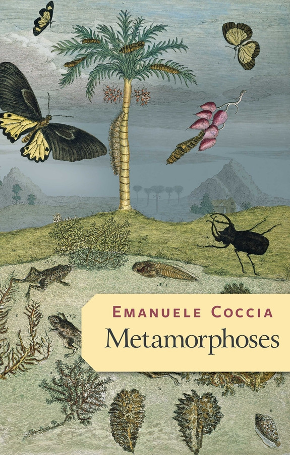 Metamorphoses book cover by Emanuele Coccia