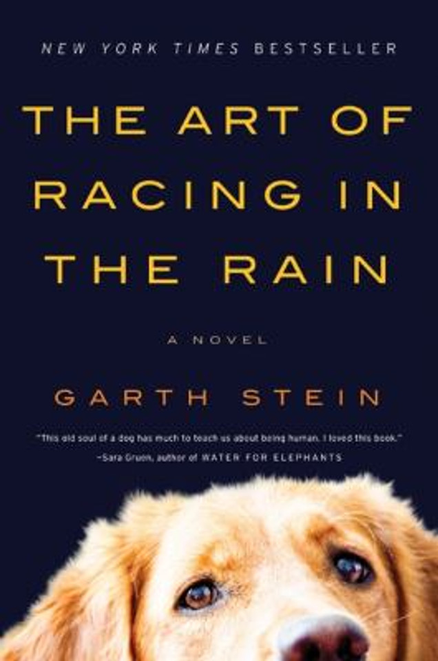 The Art of Racing in the Rain Cover