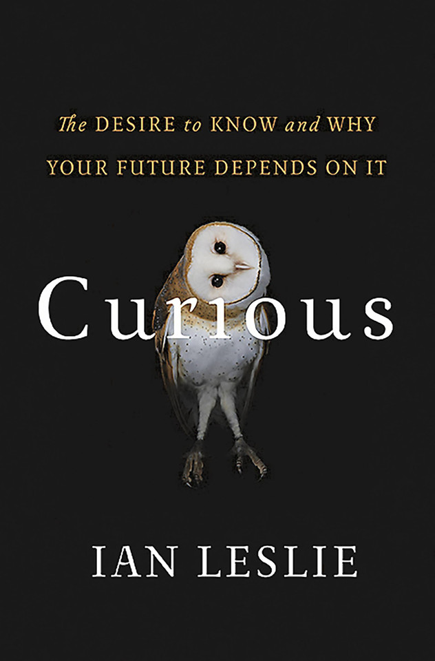 Curious: The Desire to Know and Why Your Future Depends On It book cover by Ian Leslie