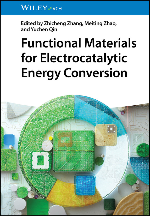 Functional Materials for Electrocatalytic Energy Conversion book cover by 
