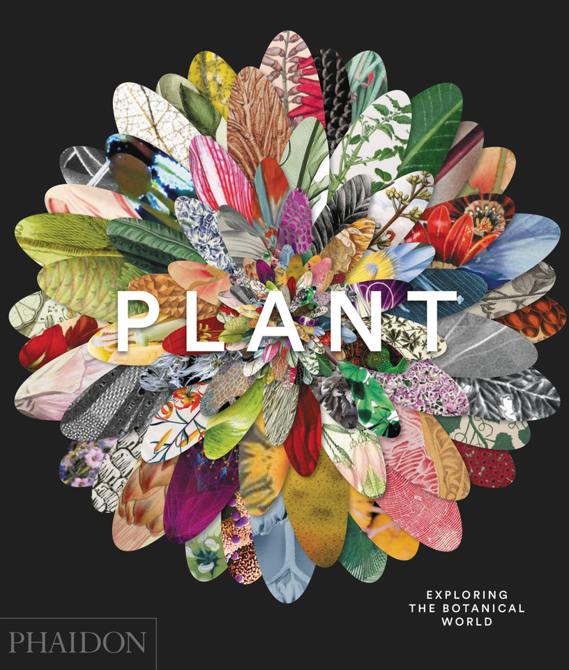 Plant: Exploring the Botanical World book cover by Phaidon Editors