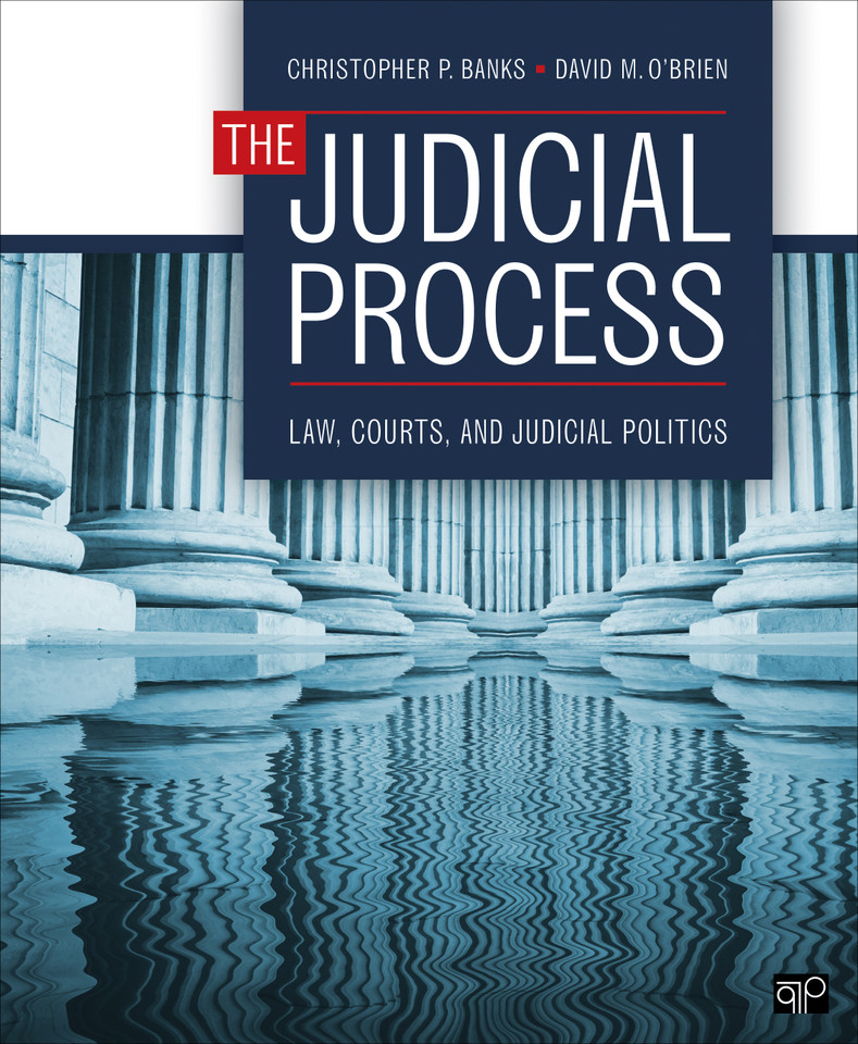 The Judicial Process: Law, Courts, and Judicial Politics book cover by Christopher P. Banks, David M. O′Brien