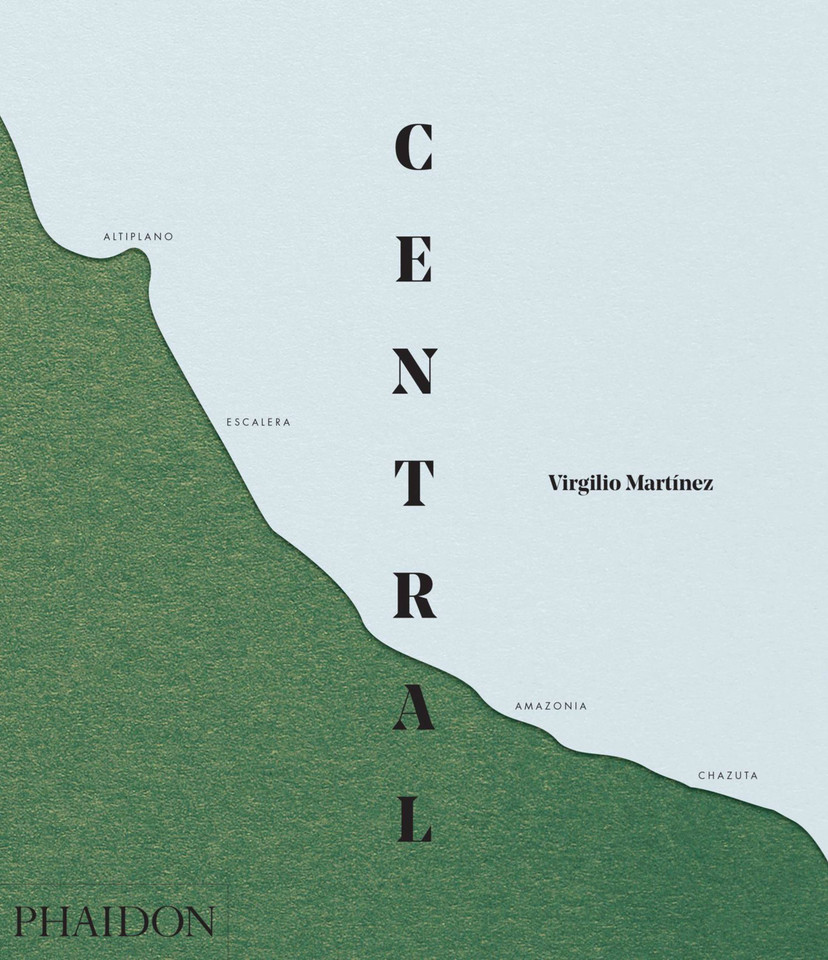 Central book cover by Virgilio Martinez, Nicholas Gill