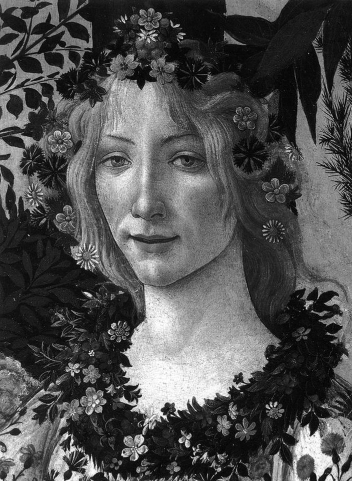Botticelli: Classic 2015 (Phaidon Classics) book cover by Lionello Venturi, Alessandro Cecchi