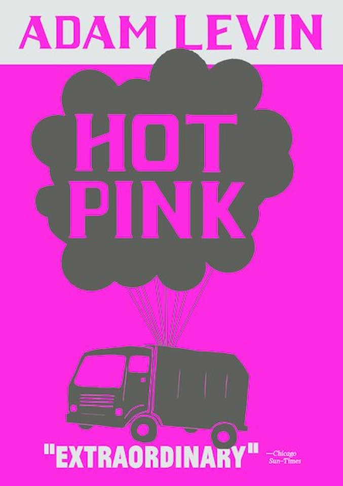 Hot Pink book cover by Adam Levin