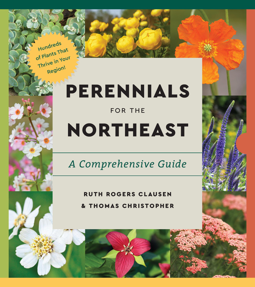 Perennials for the Northeast: A Comprehensive Guide (Essential Perennials) book cover by Ruth Rogers Clausen, Thomas Christopher