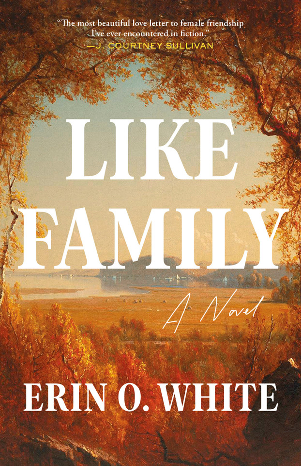 Like Family: A Novel book cover by Erin O. White