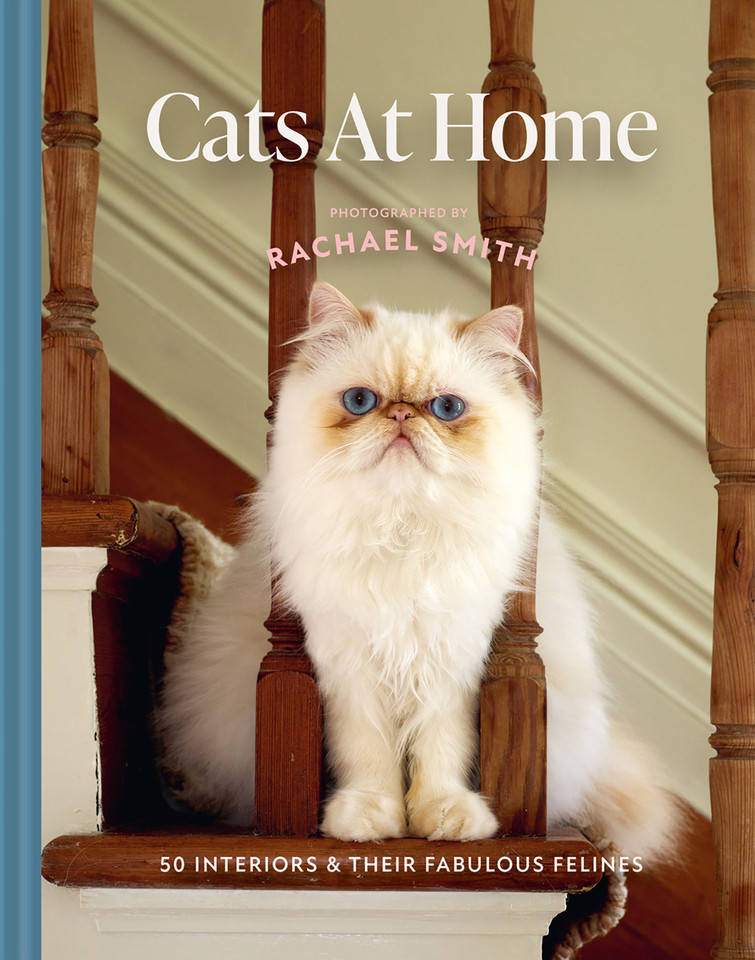 Cats at Home: 50 Fabulous Felines and the Houses They Live In book cover by Rachael Smith