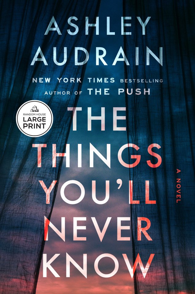 The Things You'll Never Know: A Novel book cover by Ashley Audrain