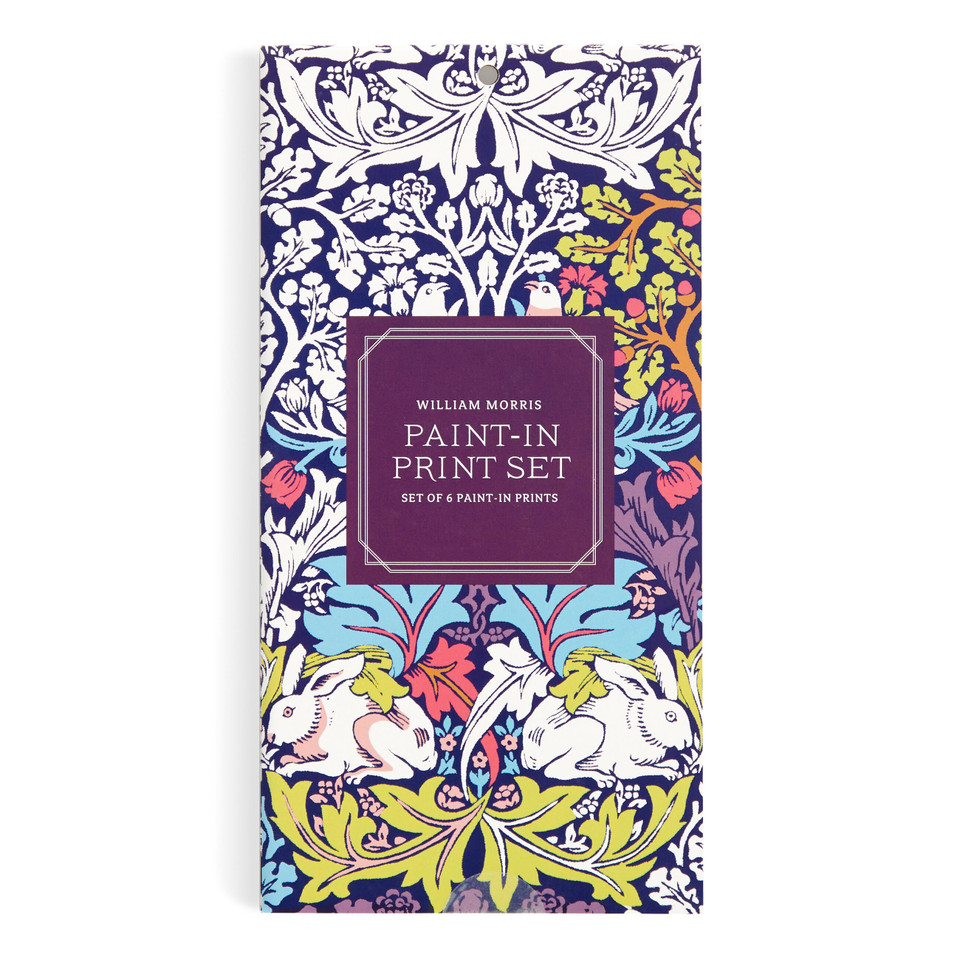 William Morris Paint-In Print Set book cover by Galison