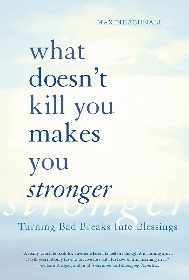 What Doesn't Kill You Makes You Stronger: Turning Bad Breaks Into Blessings book cover by Maxine Schnall
