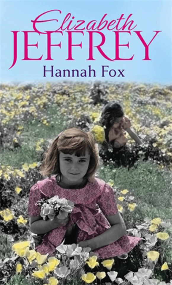 Hannah Fox book cover by Elizabeth Jeffrey