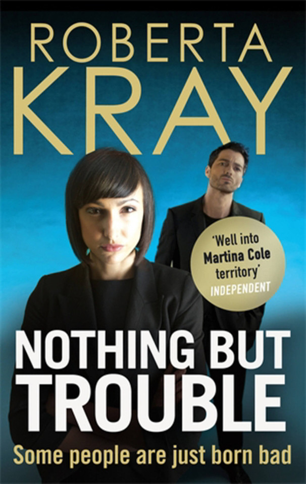 Nothing But Trouble book cover by Roberta Kray