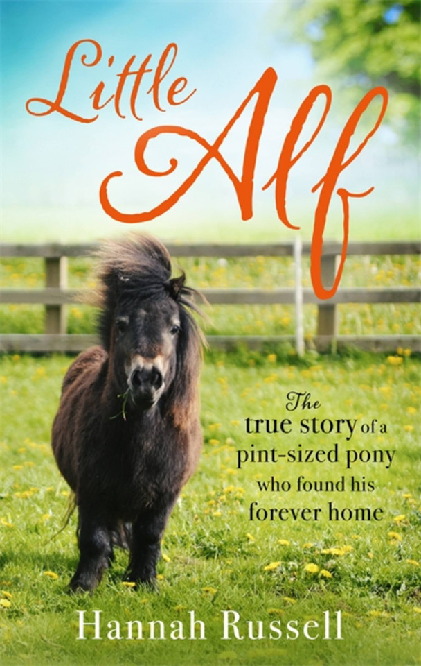 Little Alf: The true story of a pint-sized pony who found his forever home book cover by Hannah Russell