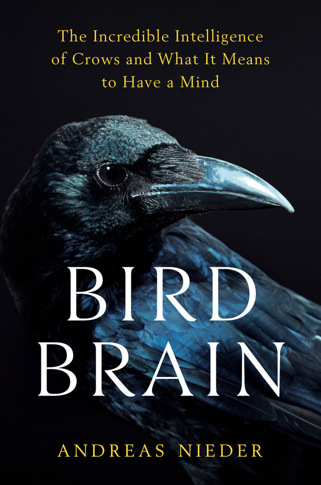 Bird Brain: The Incredible Intelligence of Crows and What It Means to Have a Mind book cover by Andreas Nieder