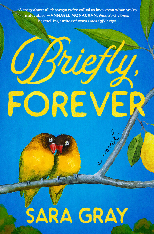 Briefly, Forever book cover by Sara Gray