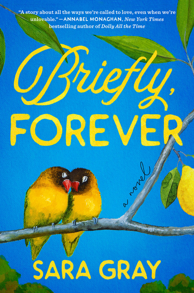 Briefly, Forever book cover by Sara Gray