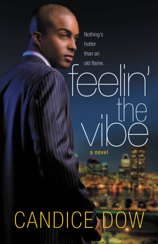 Feelin' the Vibe book cover by Candice Dow