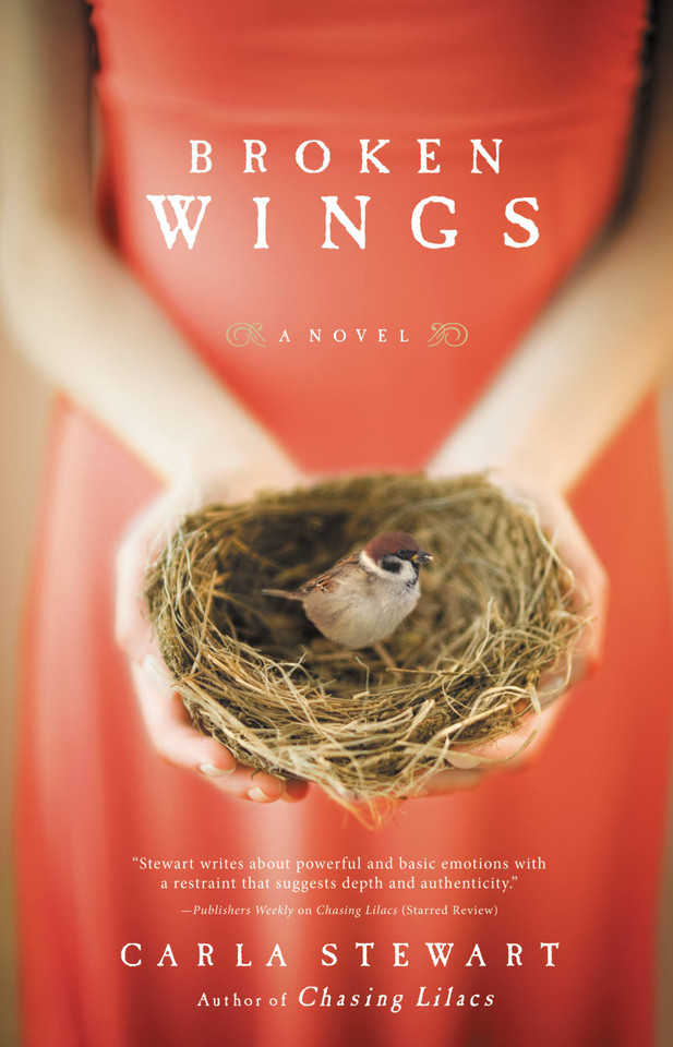Broken Wings: A Novel book cover by Carla Stewart