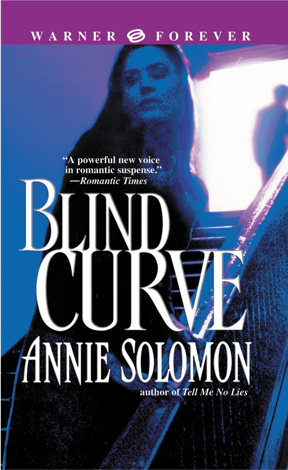 Blind Curve book cover by Annie Solomon