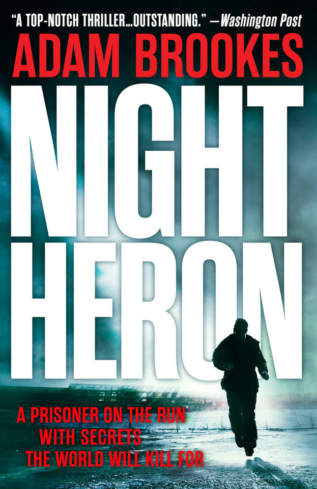 Night Heron book cover by Adam Brookes